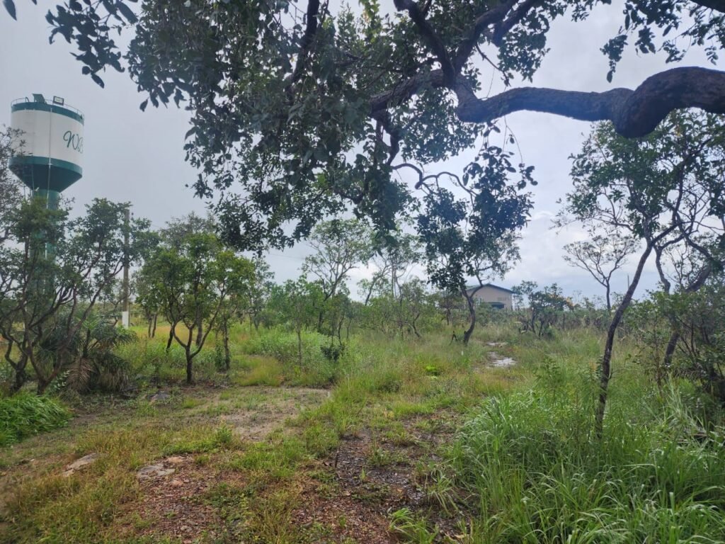 Chácara – Porteira Fechada – Rio – 5.7ha -Vale Verde – Alto Paraíso de Goiás