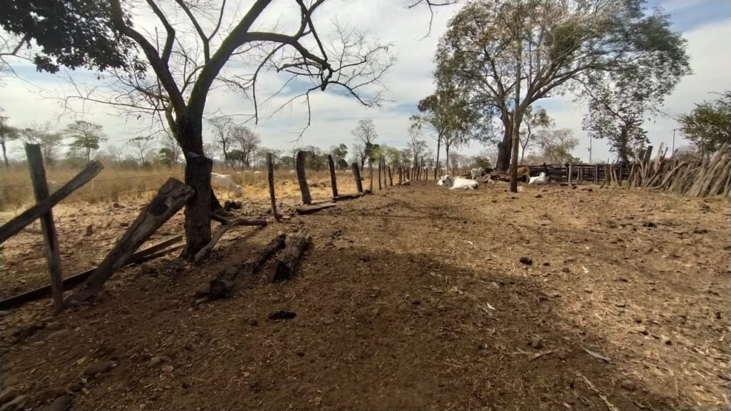 Fazenda 51ha – Beira Rio – Sertão – Alto Paraíso de Goiás