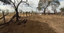 Fazenda 51ha – Beira Rio – Sertão – Alto Paraíso de Goiás