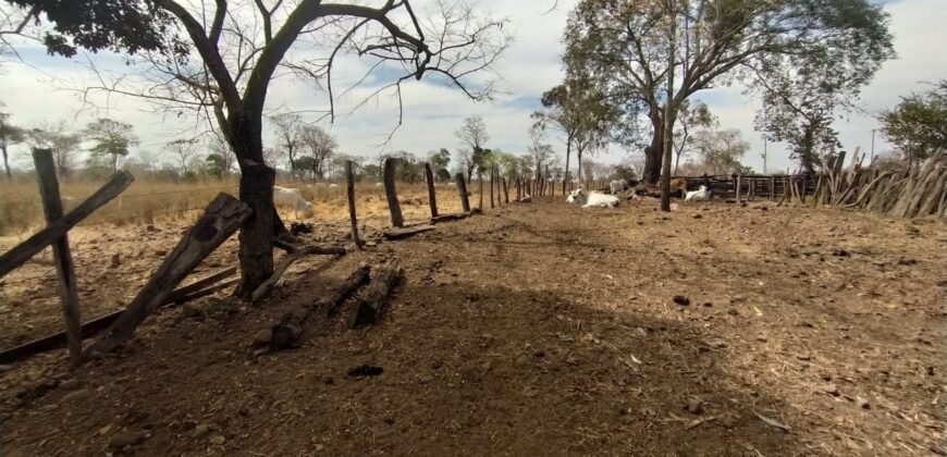 Fazenda 51ha – Beira Rio – Sertão – Alto Paraíso de Goiás