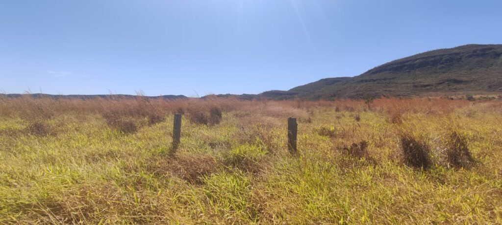 Chácara 5ha – na  Fazenda São Bento – entre Alto Paraíso e São Jorge