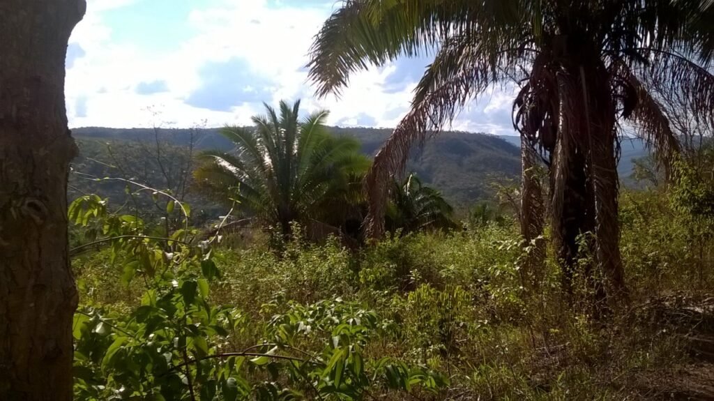 Chácara 14,6ha- Linda Vista – Poço artesiano – na Fazenda Santa Rita – 14km de Alto Paraíso de Goiás
