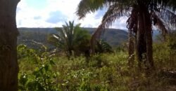 Chácara 14,6ha- Linda Vista – Poço artesiano – na Fazenda Santa Rita – 14km de Alto Paraíso de Goiás Chácara 14,6ha- Linda Vista – Poço artesiano – na Fazenda Santa Rita – 14km de Alto Paraíso de Goiás