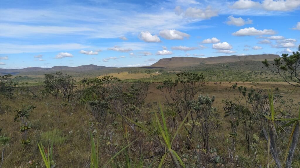 Chácara com Rio Almecegas – Vale verde – 15ha – 15km de Alto Paraíso de Goiás, Sentido Pousada Inacia