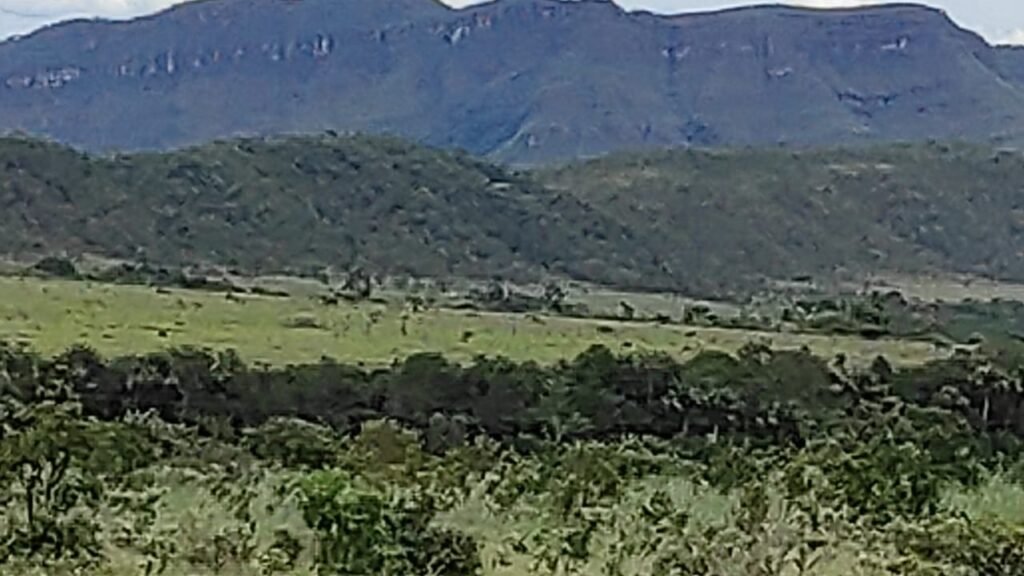 Área 4.7ha – Fazenda São Bento – Margem GO 239 – 7 km de Alto Paraíso sentido São Jorge