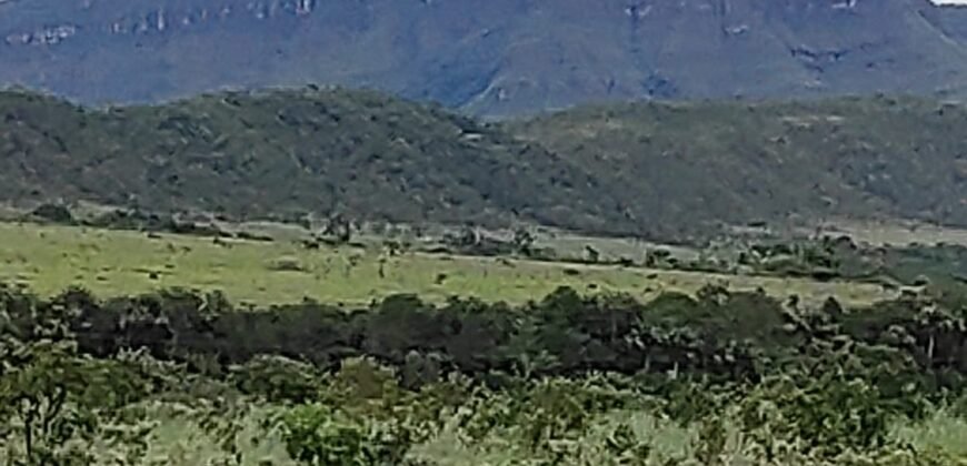 Área 4.7ha – Fazenda São Bento – Margem GO 239 – 7 km de Alto Paraíso sentido São Jorge