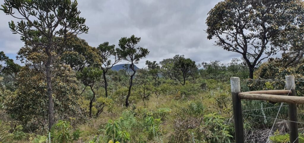 Vende-se Lote 2.700m2 – Alto Paraíso de Goiás