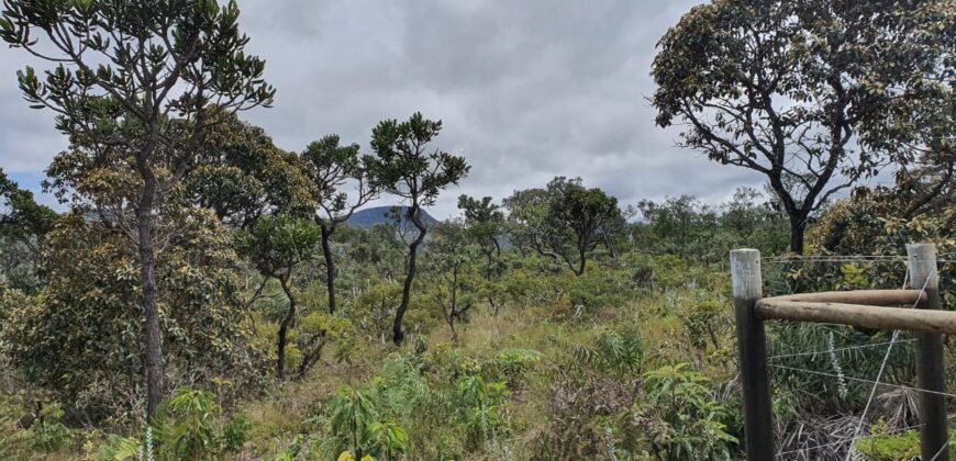 Vende-se Lote 2.700m2 – Alto Paraíso de Goiás