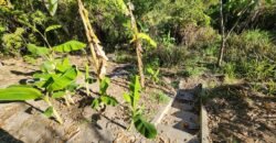 Casa em Cavalcante de Goiás – Excelente localização – fundo Reserva – Chapada dos Veadeiros