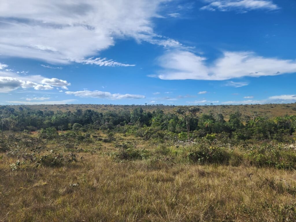 Chácara 5,30ha – Rio – Morro da Baleia – 13 km de Alto Paraíso de Goiás sentido São Jorge