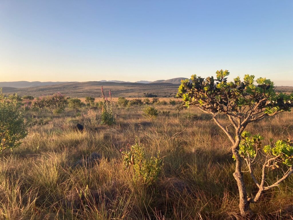 Chácara 4ha – Vale Verde – Próximo à Pousada Inácia – Alto Paraíso de Goiás