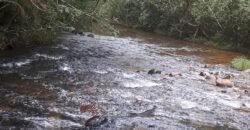 Casa – Rio – Lote 9.000 m2 – Alto Paraíso de Goiás