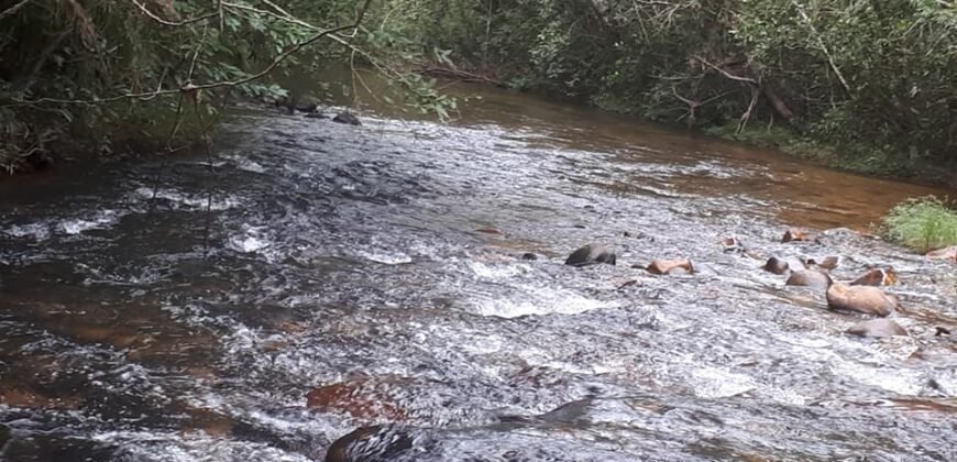 Casa – Rio – Lote 9.000 m2 – Alto Paraíso de Goiás