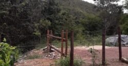 Casa – Rio – Lote 9.000 m2 – Alto Paraíso de Goiás