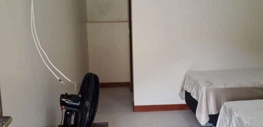 Casa – Rio – Lote 9.000 m2 – Alto Paraíso de Goiás