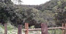Casa – Rio – Lote 9.000 m2 – Alto Paraíso de Goiás