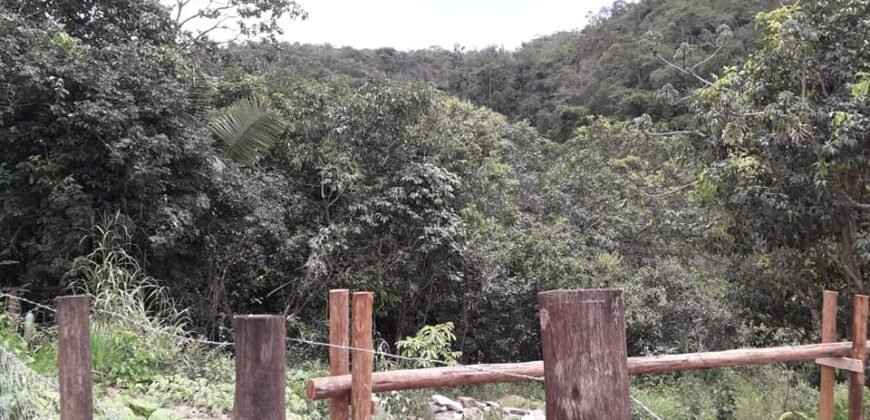 Casa – Rio – Lote 9.000 m2 – Alto Paraíso de Goiás