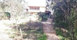 Casa – Rio – Lote 9.000 m2 – Alto Paraíso de Goiás