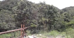 Casa – Rio – Lote 9.000 m2 – Alto Paraíso de Goiás