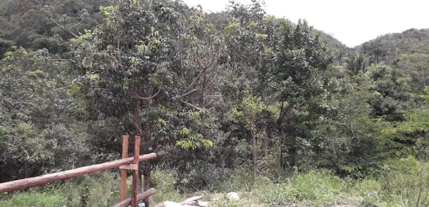 Casa – Rio – Lote 9.000 m2 – Alto Paraíso de Goiás