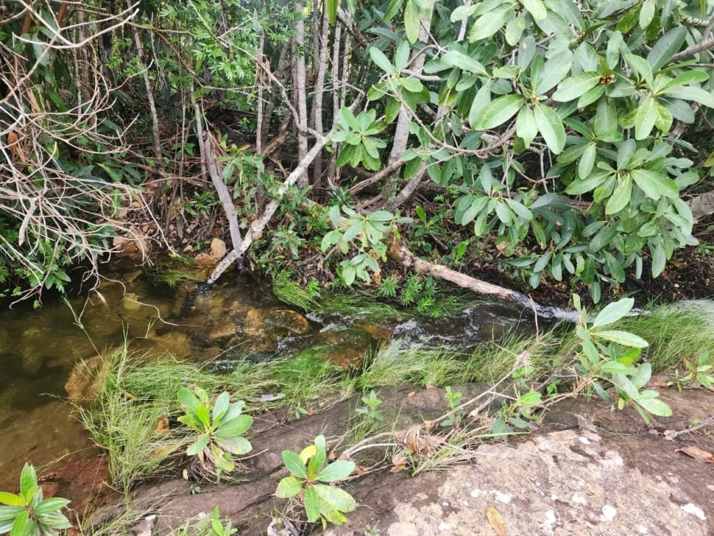 Chácara – Porteira Fechada – Rio – 5.7ha -Vale Verde – Alto Paraíso de Goiás