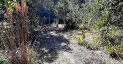 Casa – Rio – Loquinhas – Alto Paraíso de Goiás Casa – Rio – Loquinhas – Alto Paraíso de Goiás