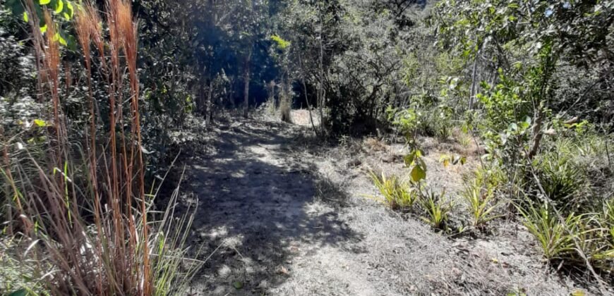 Casa – Rio – Loquinhas – Alto Paraíso de Goiás