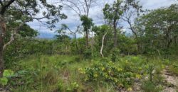 Fazenda 76 ha – Cachoeira – 12km Teresina de Goiás – Chapada dos Veadeiros