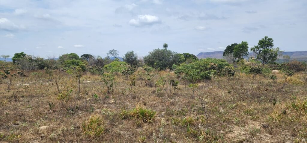 Chácara 4 ha – 13 km de Alto Paraíso sentido São Jorge