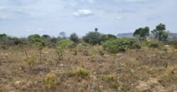 Chácara 4 ha – 13 km de Alto Paraíso sentido São Jorge