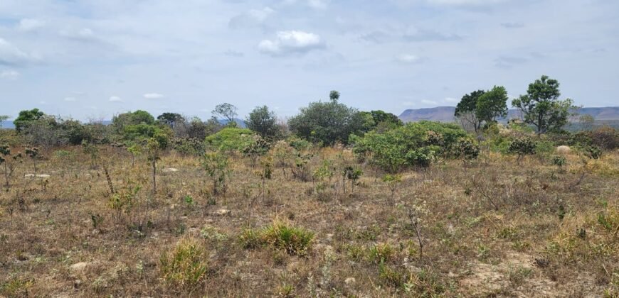 Chácara 4 ha – 13 km de Alto Paraíso sentido São Jorge