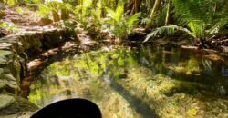 Pousada – Rio – Poço para Banho – Moinho – 4.000m2 – 12km de Alto Paraíso de Goiás Pousada – Rio – Poço para Banho – Moinho – 4.000m2 – 12km de Alto Paraíso de Goiás