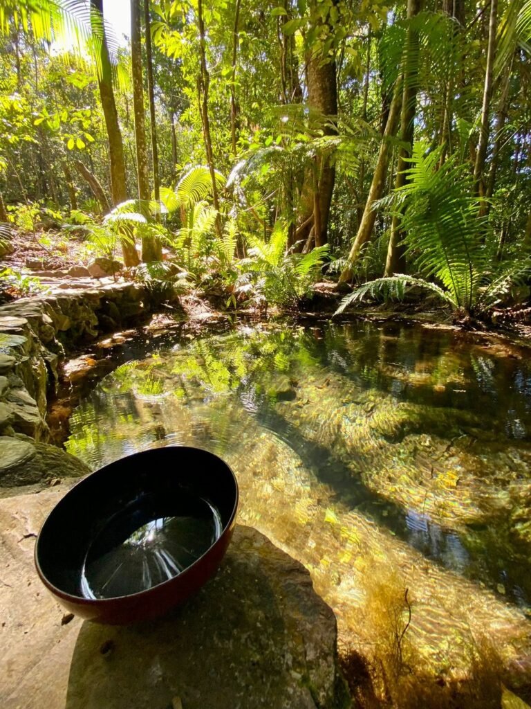 Pousada – Rio – Poço para Banho – Moinho – 4.000m2 – 12km de Alto Paraíso de Goiás