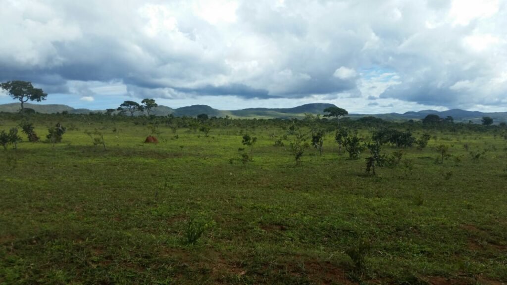 Chácara 4 ha – 5km de Alto Paraíso sentido Cachoeira dos Cristais