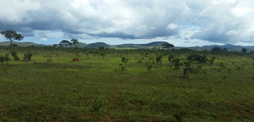 Chácara 4 ha – 5km de Alto Paraíso sentido Cachoeira dos Cristais