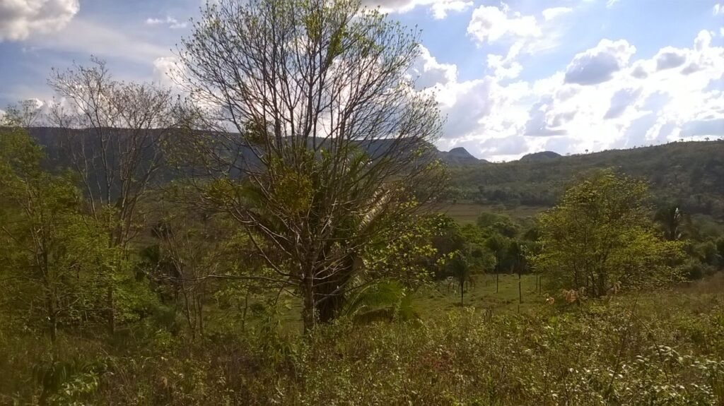 Chácara 14,6ha- Linda Vista – Poço artesiano – na Fazenda Santa Rita – 14km de Alto Paraíso de Goiás