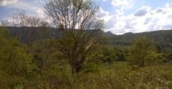 Chácara 14,6ha- Linda Vista – Poço artesiano – na Fazenda Santa Rita – 14km de Alto Paraíso de Goiás Chácara 14,6ha- Linda Vista – Poço artesiano – na Fazenda Santa Rita – 14km de Alto Paraíso de Goiás