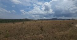 Chácara 4 ha – 13 km de Alto Paraíso sentido São Jorge