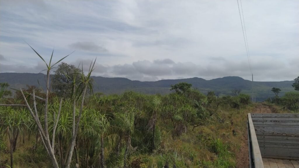 Chácara 4 ha – 5 km de Alto Paraíso sentido Cachoeira dos Cristais