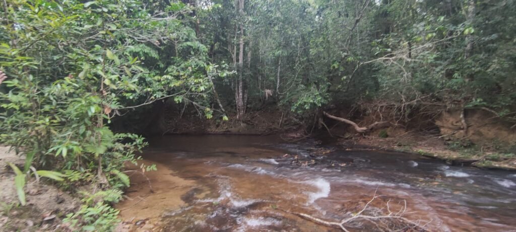 Maravilhosa Chácara 20ha – Recifra – Alto Paraíso de Goiás