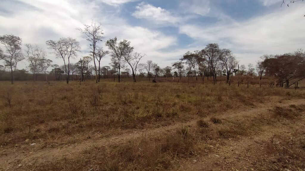 Fazenda 51ha – Beira Rio – Sertão – Alto Paraíso de Goiás