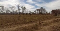 Fazenda 51ha – Beira Rio – Sertão – Alto Paraíso de Goiás