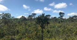 Chácara 4ha – 4km de Alto Paraíso Sentido Cachoeira dos Cristais