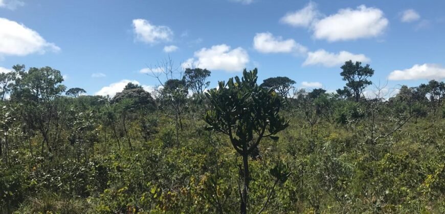 Chácara 4ha – 4km de Alto Paraíso Sentido Cachoeira dos Cristais