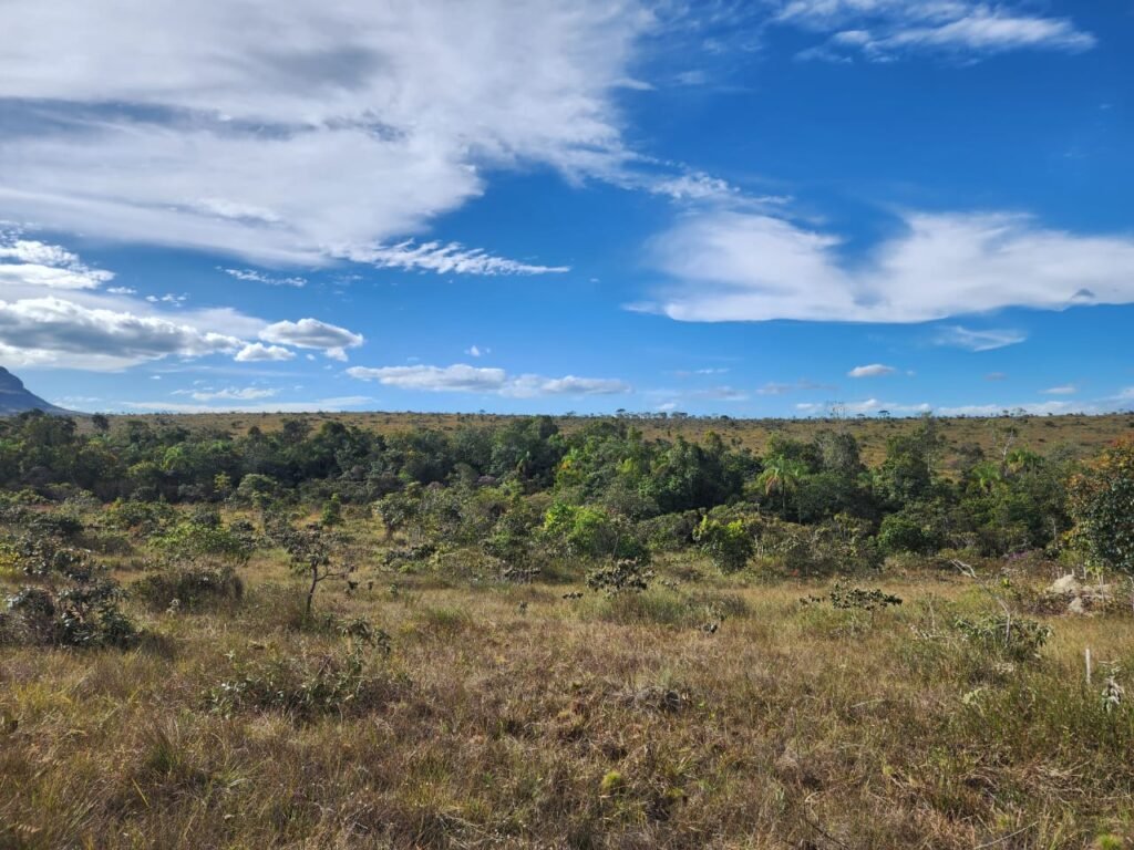 Chácara 5,30ha – Rio – Morro da Baleia – 13 km de Alto Paraíso de Goiás sentido São Jorge