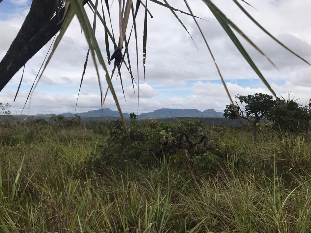 Chácara 4ha – Vale Verde – Próximo à Pousada Inácia – Alto Paraíso de Goiás