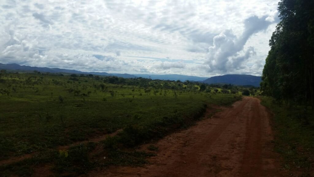 Chácara 4 ha – 5km de Alto Paraíso sentido Cachoeira dos Cristais