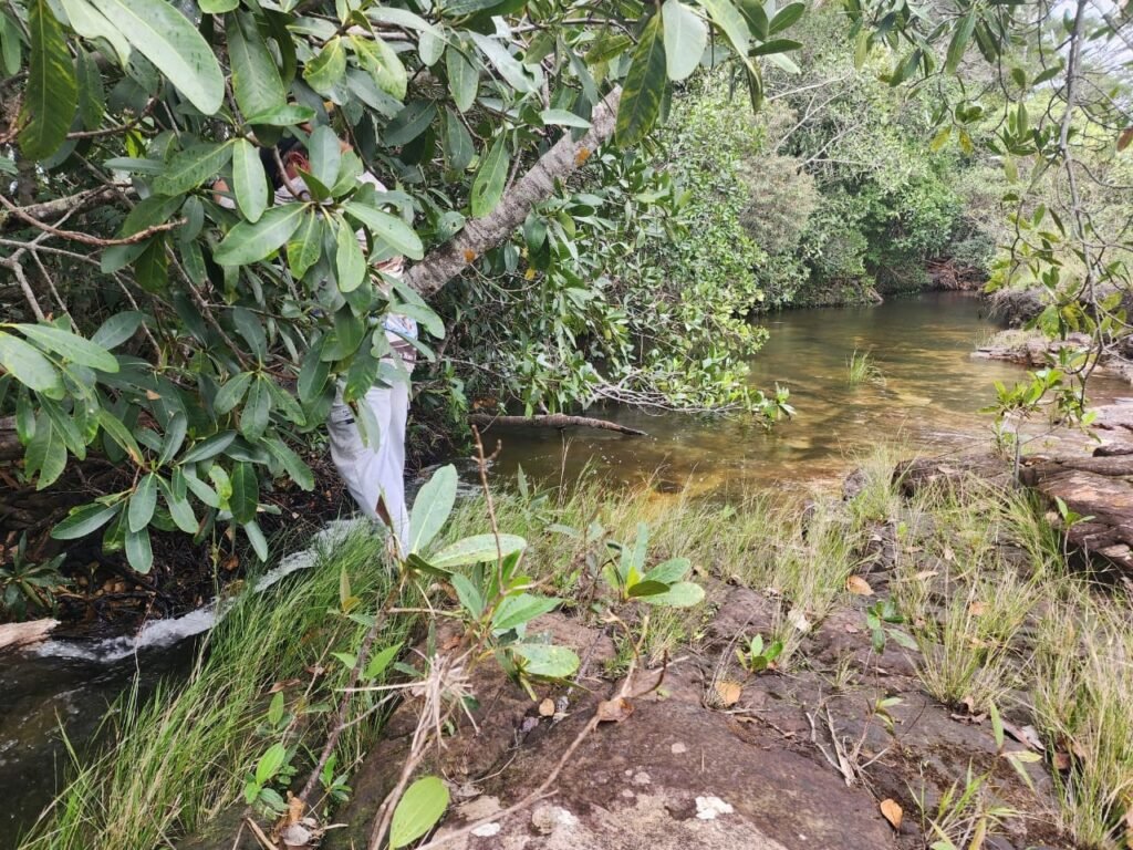 Chácara – Porteira Fechada – Rio – 5.7ha -Vale Verde – Alto Paraíso de Goiás