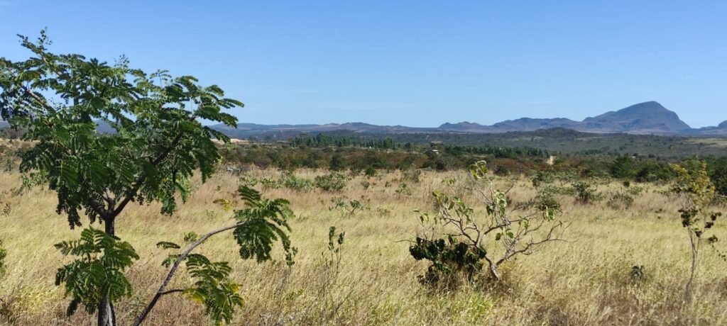 Chácara 5ha – na  Fazenda São Bento – entre Alto Paraíso e São Jorge