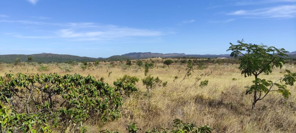 Chácara 5ha – na  Fazenda São Bento – entre Alto Paraíso e São Jorge